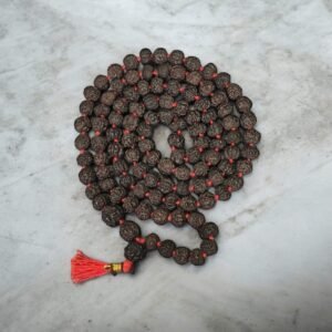 Black Rudraksh mala