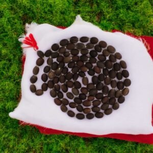 Kamalgata mala